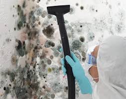 Best Basement Mold Removal  in Hebron Estates, KY